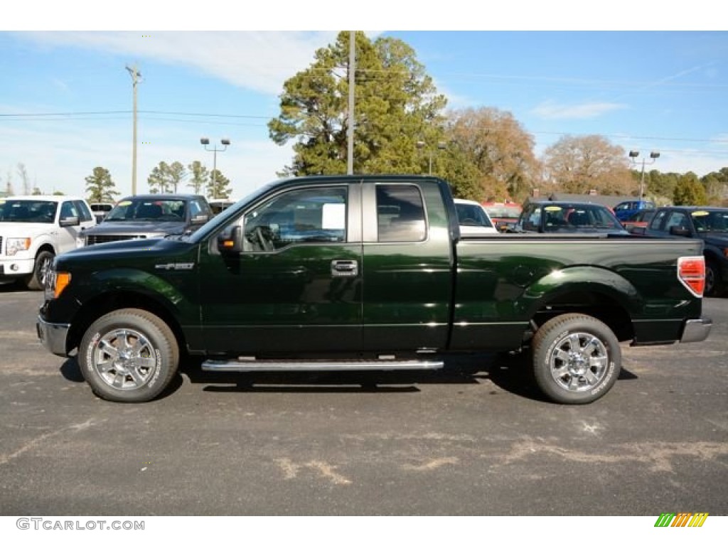 2014 F150 XLT SuperCab - Green Gem / Pale Adobe photo #8