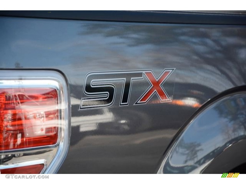 2014 F150 STX SuperCab - Sterling Grey / Steel Grey photo #6