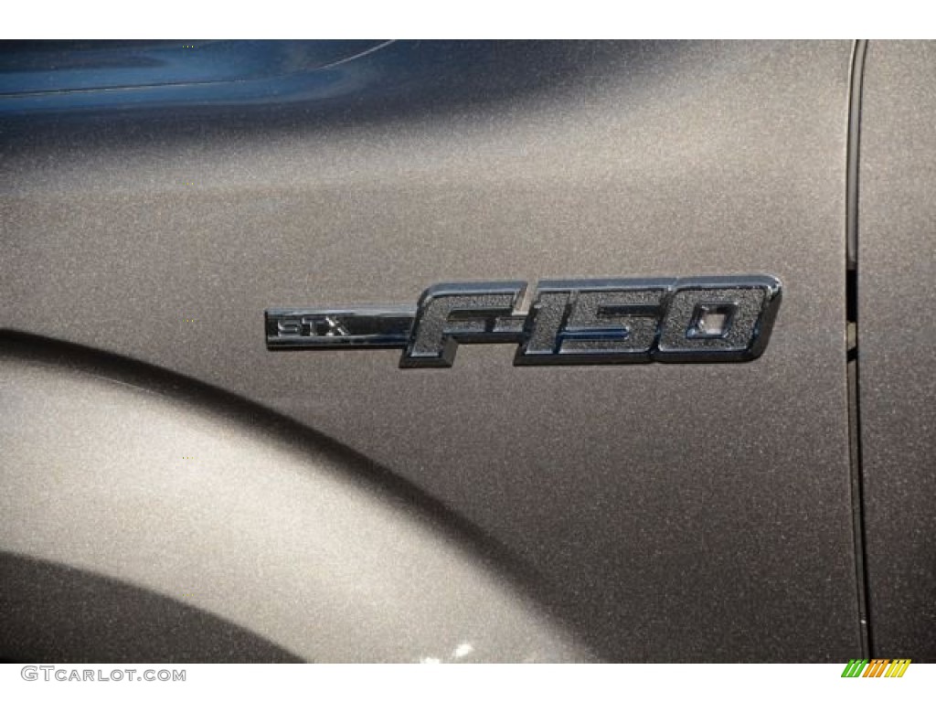 2014 F150 STX SuperCab - Sterling Grey / Steel Grey photo #11