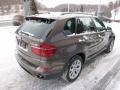 Sparkling Bronze Metallic - X5 xDrive 35i Photo No. 5