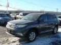 Magnetic Gray Metallic - Highlander SE 4WD Photo No. 3