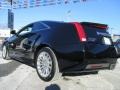 Black Raven - CTS Coupe Photo No. 4