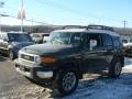 2012 Army Green Toyota FJ Cruiser 4WD  photo #3