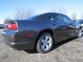 Granite Crystal Metallic - Charger SE Photo No. 3