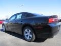 Pitch Black - Charger SE Photo No. 2