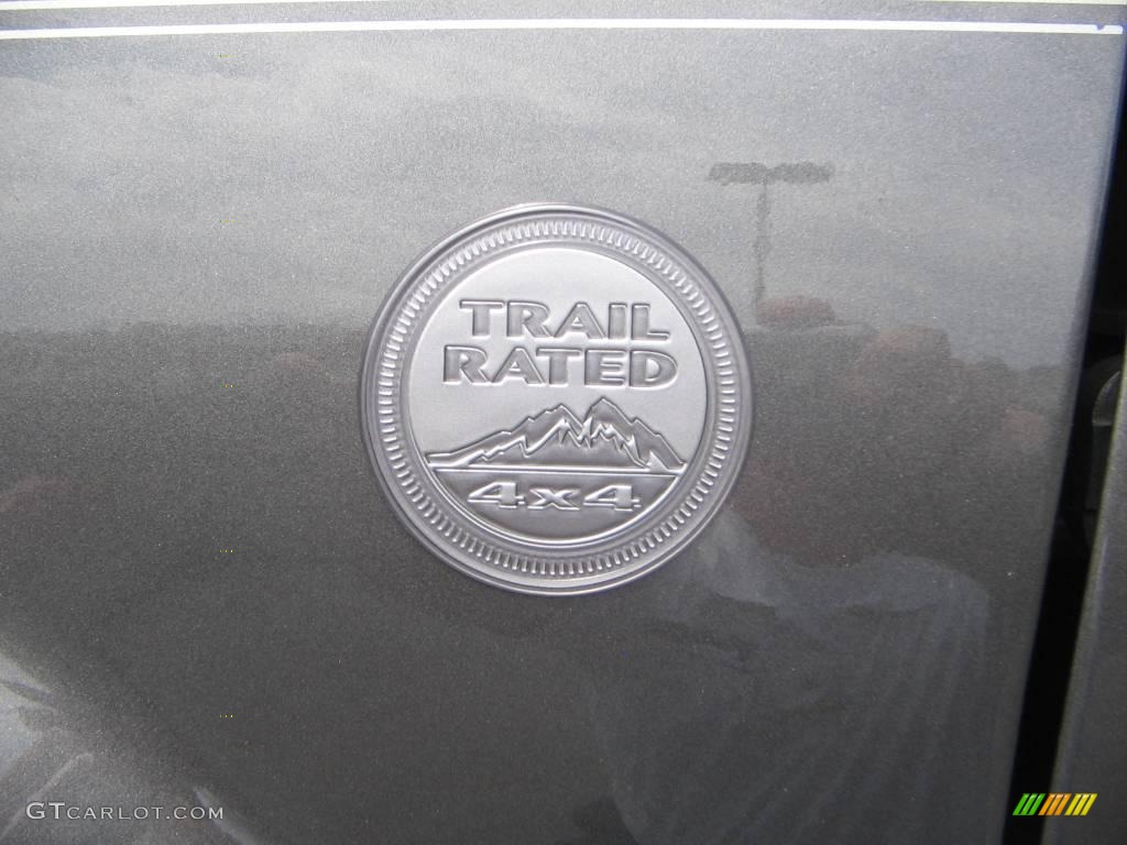 2004 Grand Cherokee Laredo 4x4 - Graphite Metallic / Dark Slate Gray photo #11