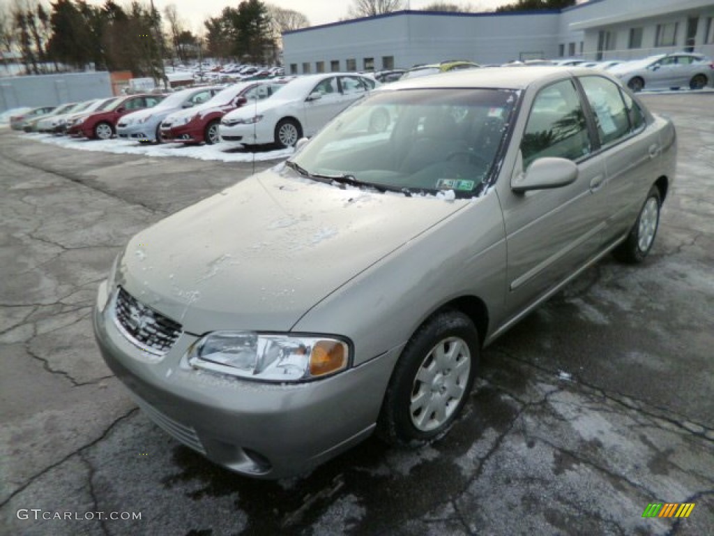 2001 Sentra GXE - Radium Silver / Stone photo #3
