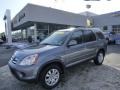 Pewter Pearl - CR-V Special Edition 4WD Photo No. 1