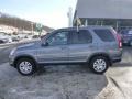 Pewter Pearl - CR-V Special Edition 4WD Photo No. 2