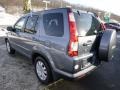 Pewter Pearl - CR-V Special Edition 4WD Photo No. 3