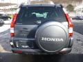 Pewter Pearl - CR-V Special Edition 4WD Photo No. 4
