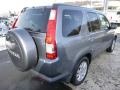 Pewter Pearl - CR-V Special Edition 4WD Photo No. 5
