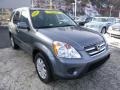 Pewter Pearl - CR-V Special Edition 4WD Photo No. 7