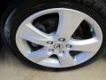 Palladium Metallic - TSX Sedan Photo No. 11