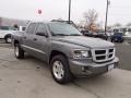 Mineral Gray Metallic - Dakota Big Horn Crew Cab 4x4 Photo No. 3
