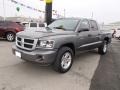 Mineral Gray Metallic - Dakota Big Horn Crew Cab 4x4 Photo No. 7