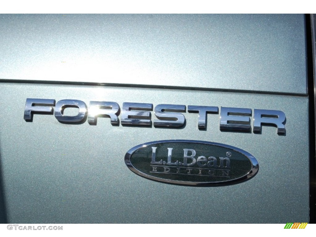 2009 Forester 2.5 X L.L.Bean Edition - Sage Green Metallic / Platinum photo #20