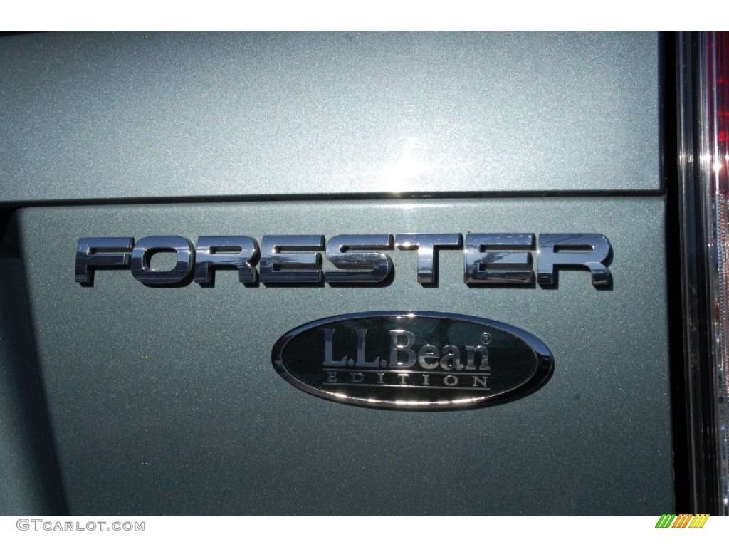 2009 Forester 2.5 X L.L.Bean Edition - Sage Green Metallic / Platinum photo #29