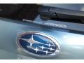 2009 Sage Green Metallic Subaru Forester 2.5 X L.L.Bean Edition  photo #30