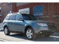 2009 Sage Green Metallic Subaru Forester 2.5 X L.L.Bean Edition  photo #37