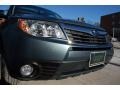 2009 Sage Green Metallic Subaru Forester 2.5 X L.L.Bean Edition  photo #57