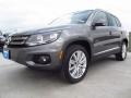 Pepper Gray Metallic - Tiguan SEL Photo No. 3