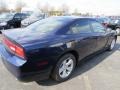 2014 Jazz Blue Pearl Dodge Charger SE  photo #3