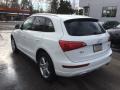 Ibis White - Q5 3.2 quattro Photo No. 5