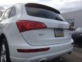 Ibis White - Q5 3.2 quattro Photo No. 6
