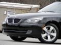 Jet Black - 5 Series 528i Sedan Photo No. 31