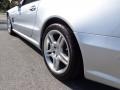 Iridium Silver Metallic - SL 500 Roadster Photo No. 19