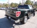 2012 Green Gem Metallic Ford F150 Lariat SuperCrew  photo #14