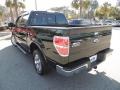 2012 Green Gem Metallic Ford F150 Lariat SuperCrew  photo #17