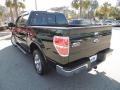 Green Gem Metallic - F150 Lariat SuperCrew Photo No. 17