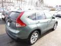 2012 Opal Sage Metallic Honda CR-V EX  photo #5