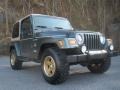 Shale Green Metallic 2002 Jeep Wrangler Sahara 4x4