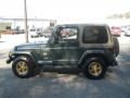 2002 Shale Green Metallic Jeep Wrangler Sahara 4x4  photo #6