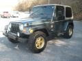 Shale Green Metallic - Wrangler Sahara 4x4 Photo No. 7