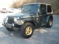 2002 Shale Green Metallic Jeep Wrangler Sahara 4x4  photo #7