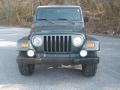 2002 Shale Green Metallic Jeep Wrangler Sahara 4x4  photo #8