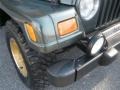 2002 Shale Green Metallic Jeep Wrangler Sahara 4x4  photo #11