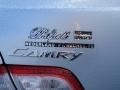 Titanium Metallic - Camry LE Photo No. 19