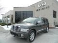 Silver Graphite Gray - QX 56 4WD Photo No. 3