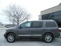 Silver Graphite Gray - QX 56 4WD Photo No. 4
