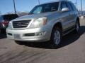 Silver Pine Metallic - GX 470 Photo No. 1