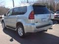 Silver Pine Metallic - GX 470 Photo No. 4
