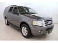 2010 Sterling Grey Metallic Ford Expedition XLT 4x4  photo #1