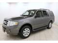 Sterling Grey Metallic 2010 Ford Expedition XLT 4x4 Exterior