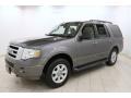 2010 Sterling Grey Metallic Ford Expedition XLT 4x4  photo #3