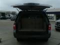 Sterling Gray Metallic - Expedition XLT Photo No. 15